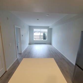 Ground Floor 2 Bed / 2 Bath / 2 Parking Brand New Unit! - Photo 3