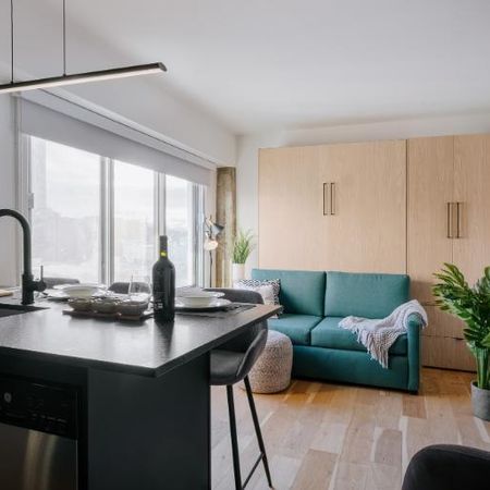 Loft entièrement meublé à louer Saint-Jean-Baptiste août 2026 - Photo 3