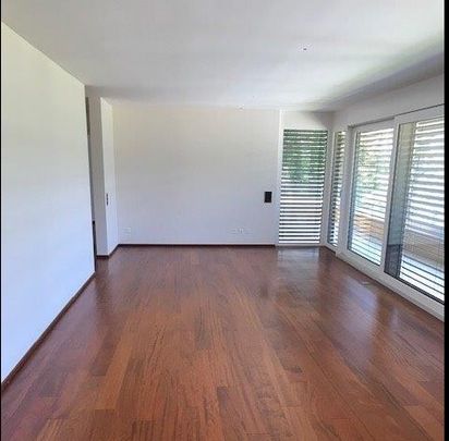 Collina d'Oro-Montagnola, appartamento 4.5 locali di mq 140 - Foto 1