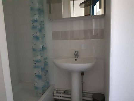 Appartement 1 pièce - 69100 Villeurbanne - Photo 5