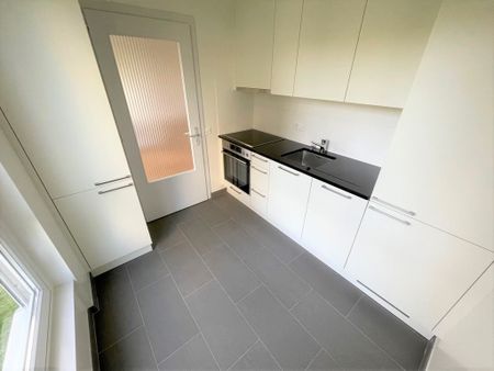 Gradelle - Au dessus du Parc des Eaux-Vives - Photo 5