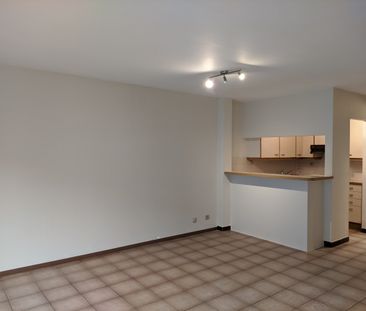 HUREN | Appartement, 2 slaapkamers in centrum van Wenduine - Photo 3