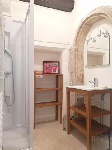Location Appartement 1 pièce 23m² DIJON 21000 - Photo 4