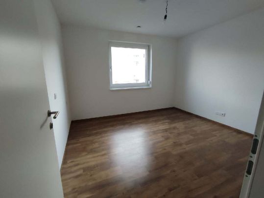Modern, gut gelegen und viel Platz - Foto 1