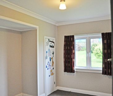4 BEDROOMS, OFFICE AND LOTS OF SHEDS! - Photo 3