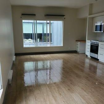 Newly Renovated Studio Apartment - $300 Move-In Bonus! - Photo 3