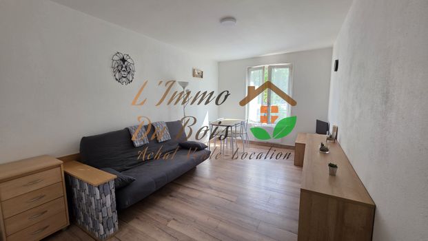 Location Appartement 1 pièce 22m² LE PEAGE DE ROUSSILLON 38550 - Photo 1