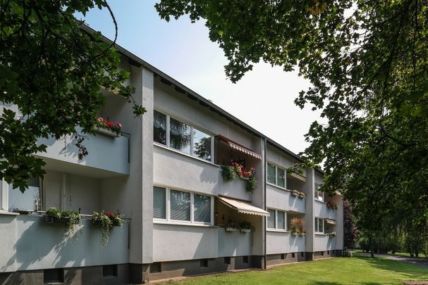 Komfortables Wohnen im Erdgeschoss: Modernisierte 3-Zimmer-Wohnung in begehrter Lage - Foto 1