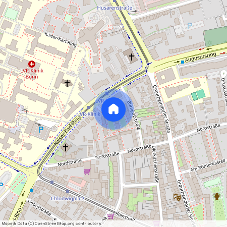 Peter-Ruster-Str. 1A, 53111, Bonn