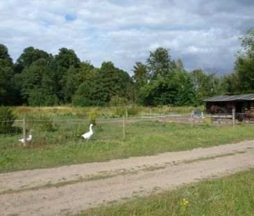 Brandon, Weeting - Photo 4