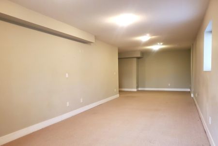 35672 Zanatta Place, Abbotsford (BASEMENT) - Photo 3