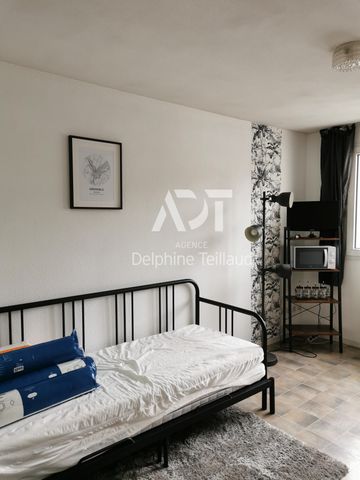 Location Appartement 1 pièce 20m² GRENOBLE 38000 - Photo 5