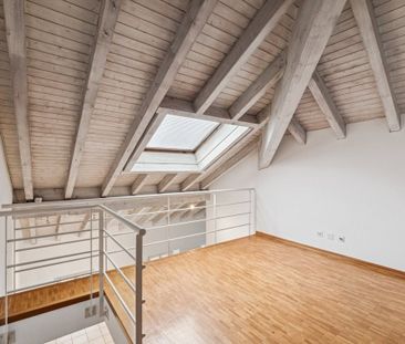 2 ½ Zimmer-Wohnung in Bellinzona mieten - Photo 2