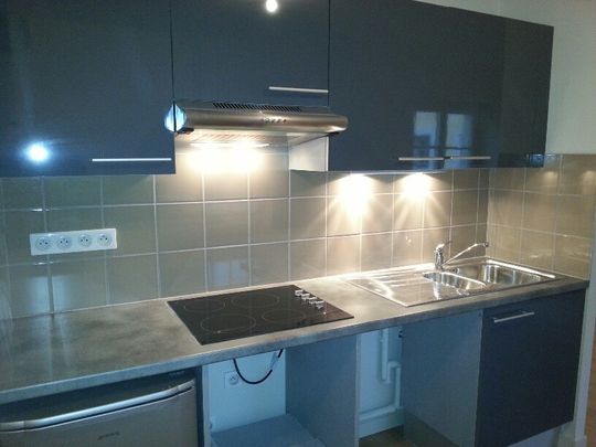 Location Appartement 1 pièce 26m² NANCY 54000 - Photo 1