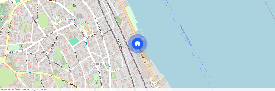 Seestrasse 63, 8800 Thalwil