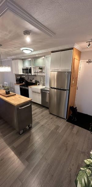 BORD DE L’EAU !! CONDO MEUBLÉ 4 ½ – Situé sur le bord du LAC MAGOG à Sherbrooke – VUE DIRECTE SUR L'EAU. - Photo 1