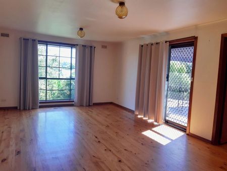 Leave The Car At Home! - Photo 3