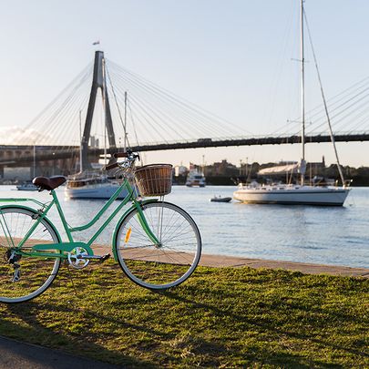 11 Wentworth Street, Glebe NSW 2037 - Apartment For Rent | Domain - Photo 1