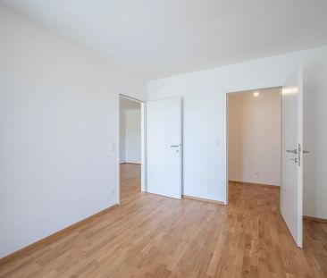 Neulengbach | Erstbezug | Miete | Haus 2 - Top 3 | 2 Zimmer mit Garten - Photo 6