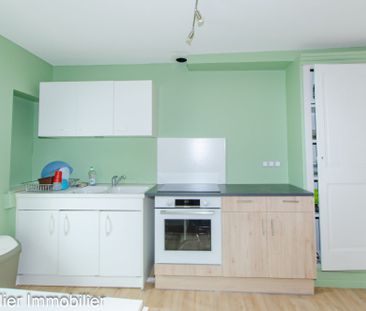 Location Appartement 2 pièces 46m² ST MARCELLIN 38160 - Photo 5