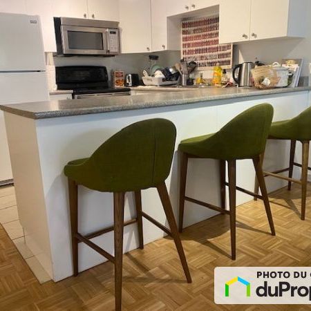 4455, rue St-Urbain, Le Plateau-Mont-Royal à louer - Photo 1