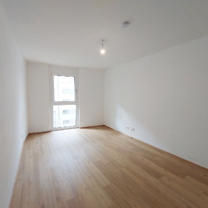 Gemütliche und moderne 2-Zimmer-Wohnung mit Balkon - Photo 1