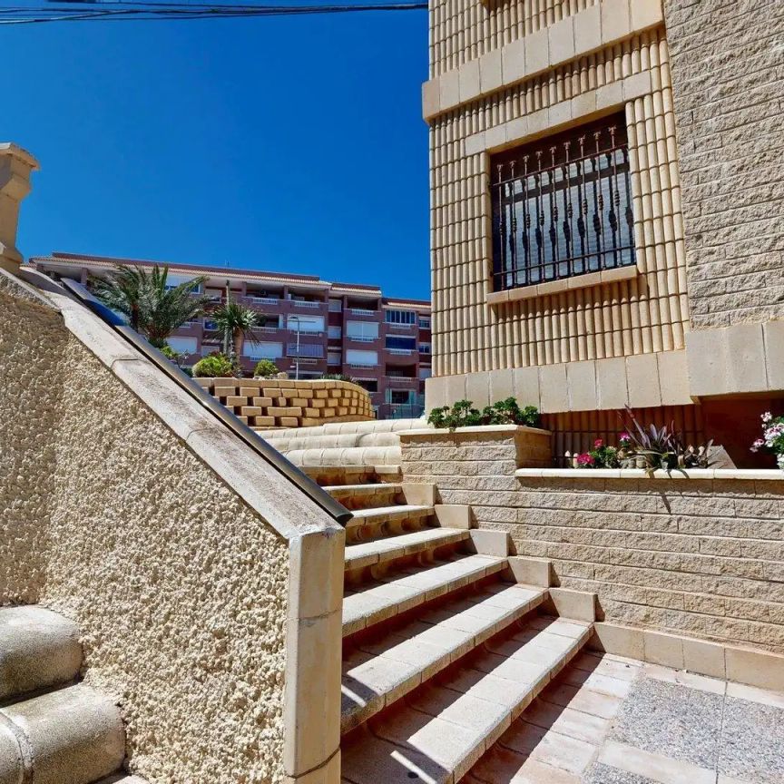 Elche / Elx - Foto 1