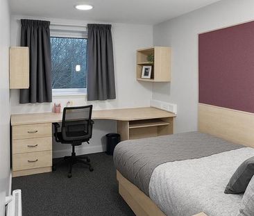 Studio to rent - Photo 6