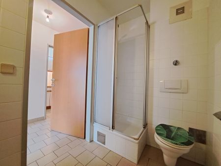 Ein- Zimmer- Terassenwohnung in Mariatrost | Mariatroster Straße 101a Top 2A - Photo 4