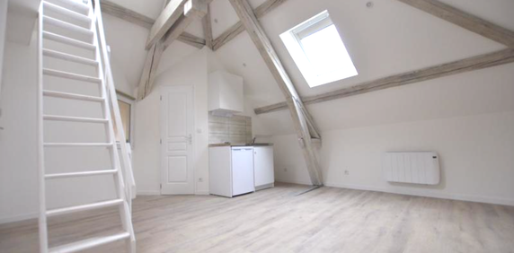 Location Appartement 1 pièce 16m² DIJON 21000 - Photo 2