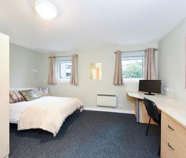 Studio to rent - Photo 4