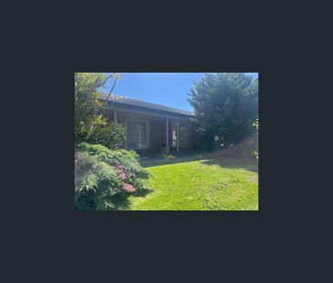 17 Verona Avenue, Newton, SA 5074 - Photo 4