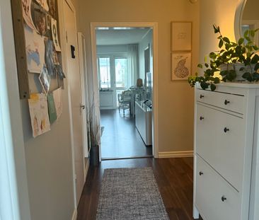 Näckrosvägen, Umeå - Foto 3