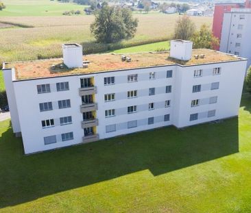 Spacious studio in Murten - Photo 3