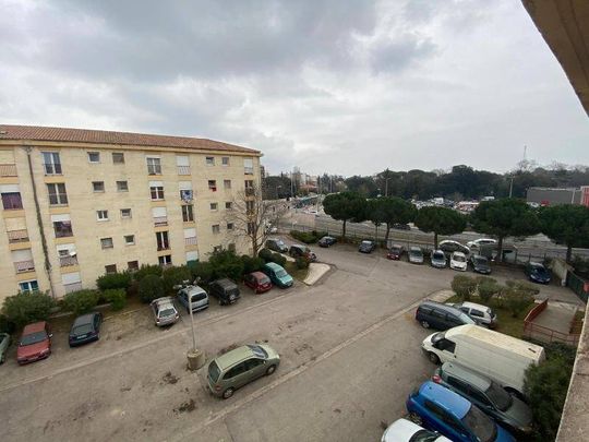 Location appartement 1 pièce 17.84 m² à Montpellier (34000) - Photo 1