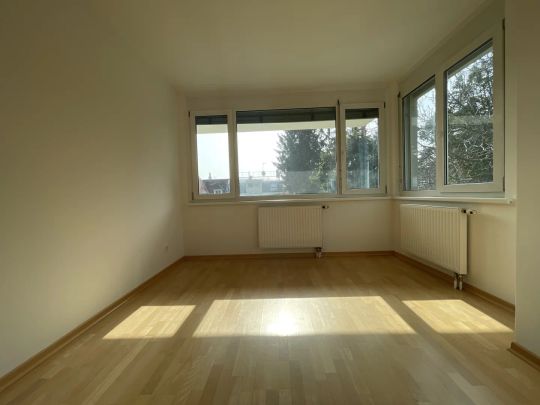 RUHELAGE + SONNIG + GARTEN + MAISONETTE + TERRASSE + TOPLAGE in NUSSDORF! - Photo 1