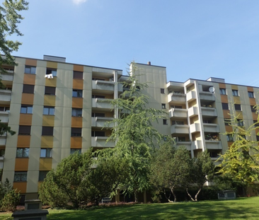 Gemütliche 2.5-Zimmerwohnung - Photo 5