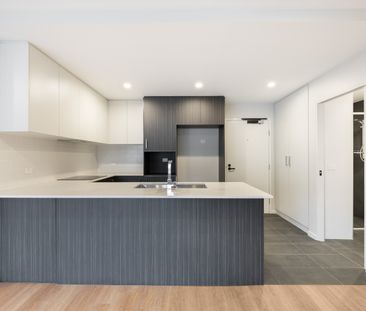 48/16 Bradfield Street, Downer ACT 2602 - Apartment For Rent | Domain - Photo 4