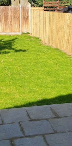 Somerset Road Room 1 - Photo 2