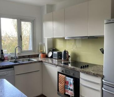 Lovely double room, 5 mins from Crystal Palace Park - Photo 2