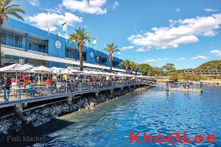 B8/40 Saunders Street, Pyrmont NSW 2009 - Apartment For Rent | Domain - Photo 3