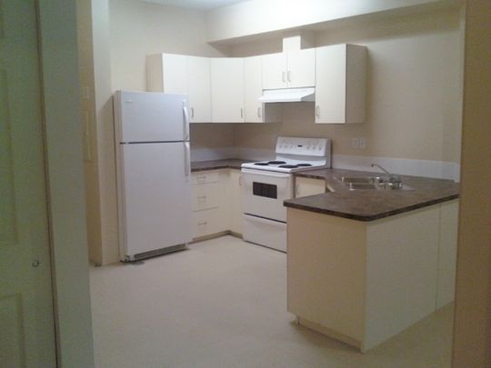 Main Floor 2 Bedroom 1 Bathroom Condo unit - Photo 1
