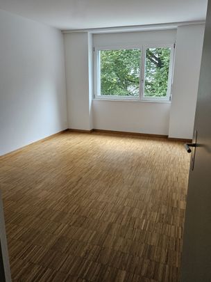 4414 Füllinsdorf, Ringstrasse 9 - Foto 1