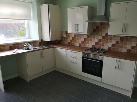 Vivian Street, Ferndale, Tylorstown - Photo 2