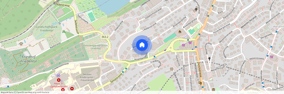 Rosenberghalde 3, 6004 Luzern