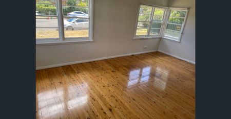 131 Piper St East Tamworth NSW 2340 - Photo 4