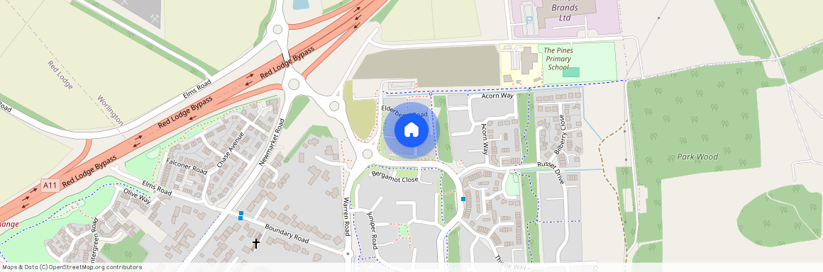 Damson Close, Red Lodge, BURY ST. EDMUNDS