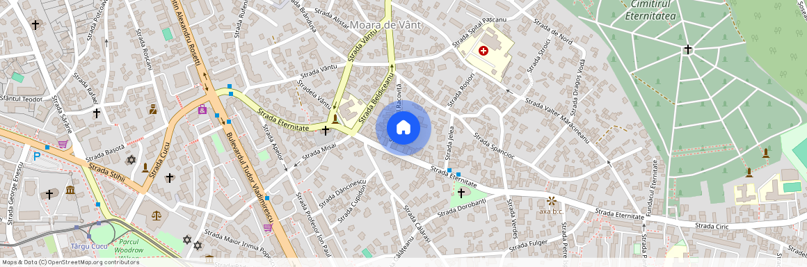 Iasi, Iasi