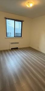 RENOVATED 1 BED/1 BATH APT AT W 13TH & GRANVILLE - Photo 4