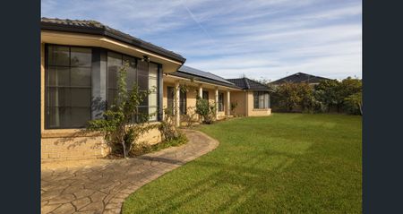 1A Stephenson Street, Roselands NSW 2196 - House For Rent | Domain - Photo 4